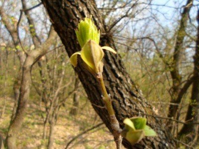 3 napos lelkigyakorlat – 7. kép