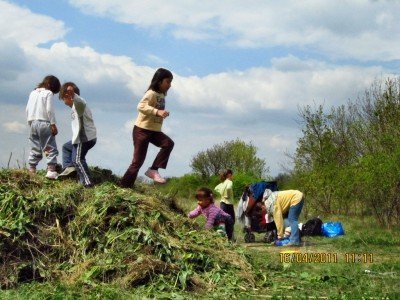 Családi önkéntesség a Föld napjáért – 13. kép