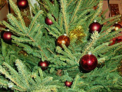 Adni mindig jó! – 8. kép