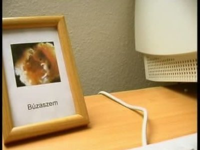 Búzaszem - Filmklub – 1. kép