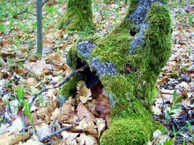 Hétvégi Alapelv szeminárium – 19. kép