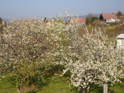 3 napos lelkigyakorlat – 6. kép