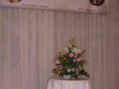 Peace starts with me – 15. kép
